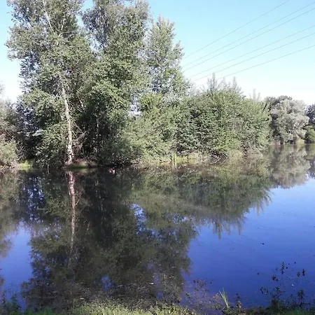 Les Abelias * Hauterive (Allier)
