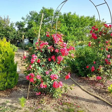 Bed & Breakfast Les Abelias *